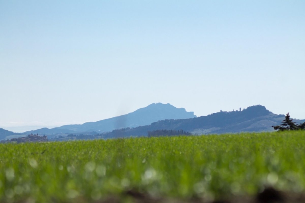 paesaggio montagna