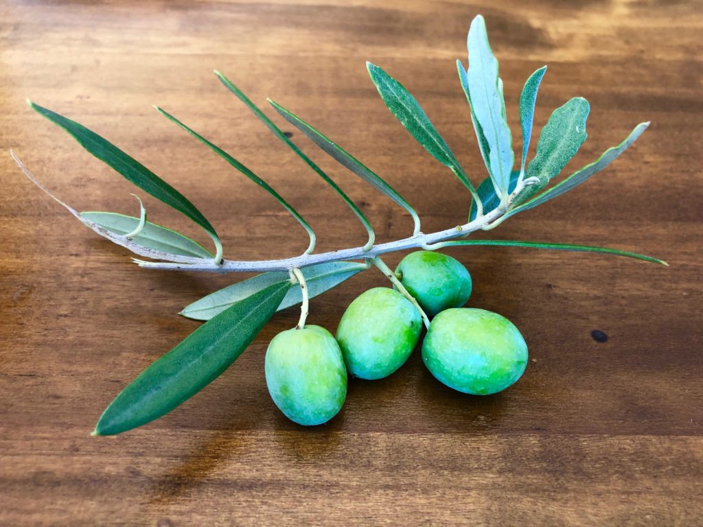 Proprietà benefiche dell'olio extravergine di oliva