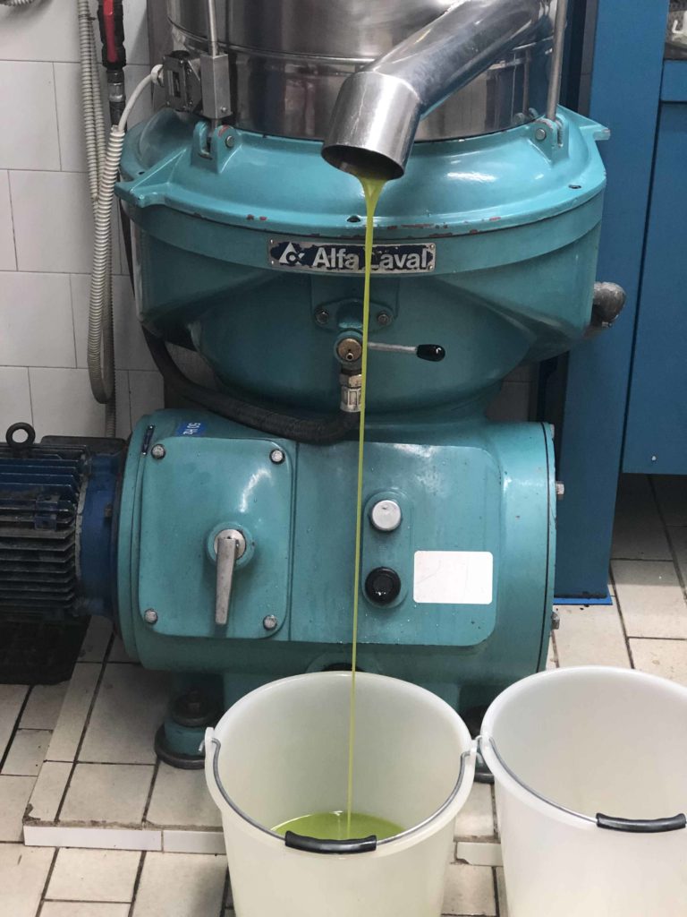olio nuovo e1572265115873