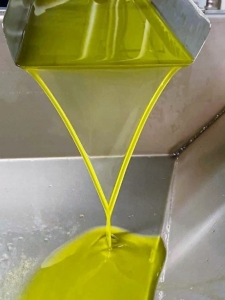 spremitura olive 1