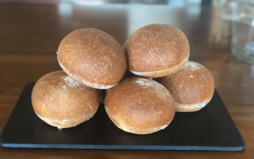 panino-olio-oliva