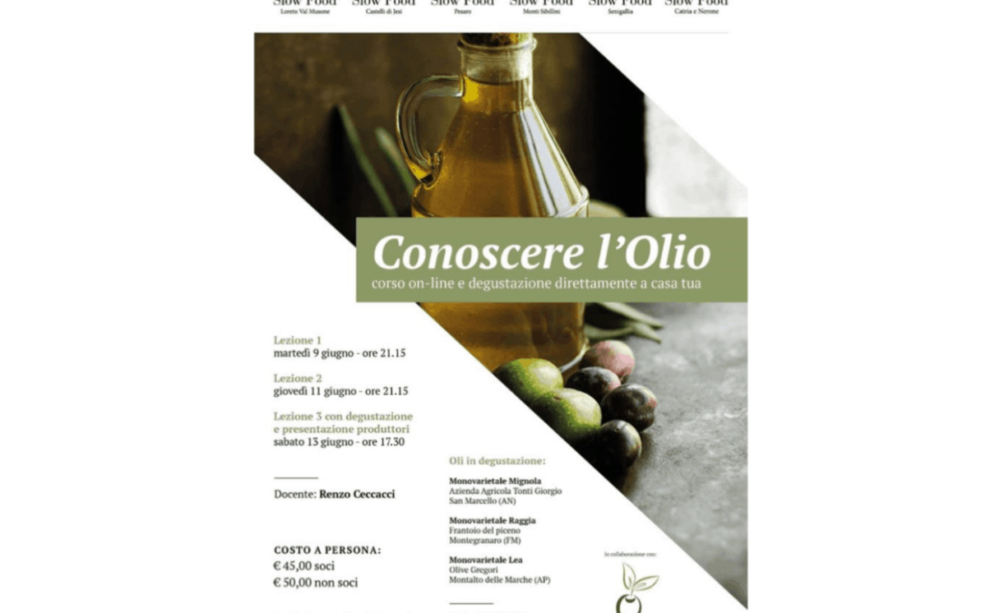 Progetto slow food e olio Extravergine marche