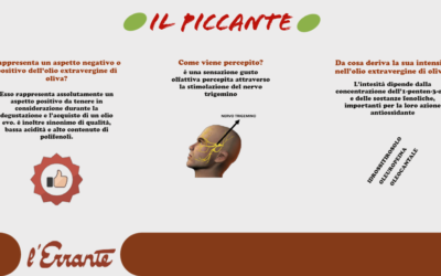 Come riconoscere un buon olio extravergine di oliva?